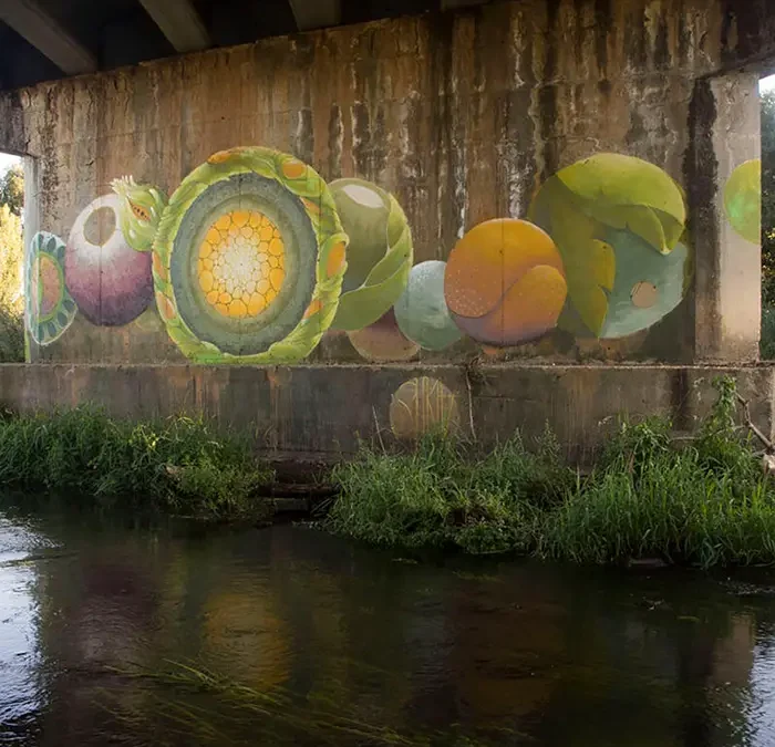 Los ríos son pura vida. Festival de arte urbano Artaerorap La Bañeza