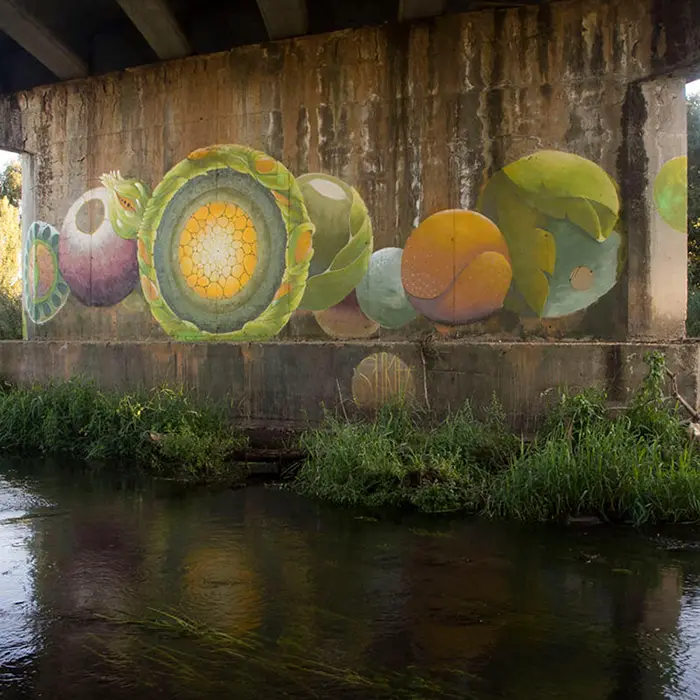 Los ríos son pura vida. Festival de arte urbano Artaerorap La Bañeza